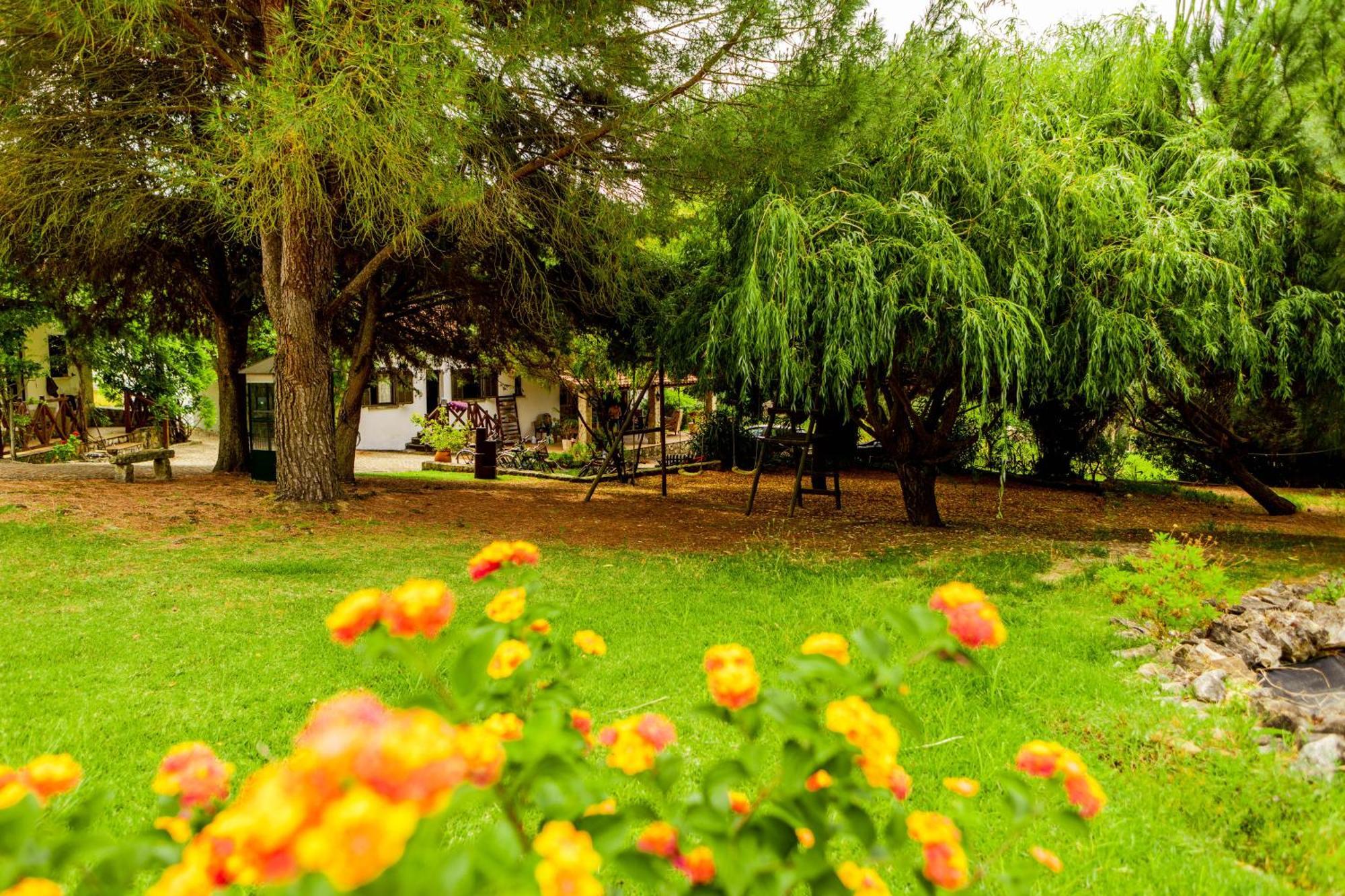 Quinta O Refugio Villa Azambuja Kültér fotó