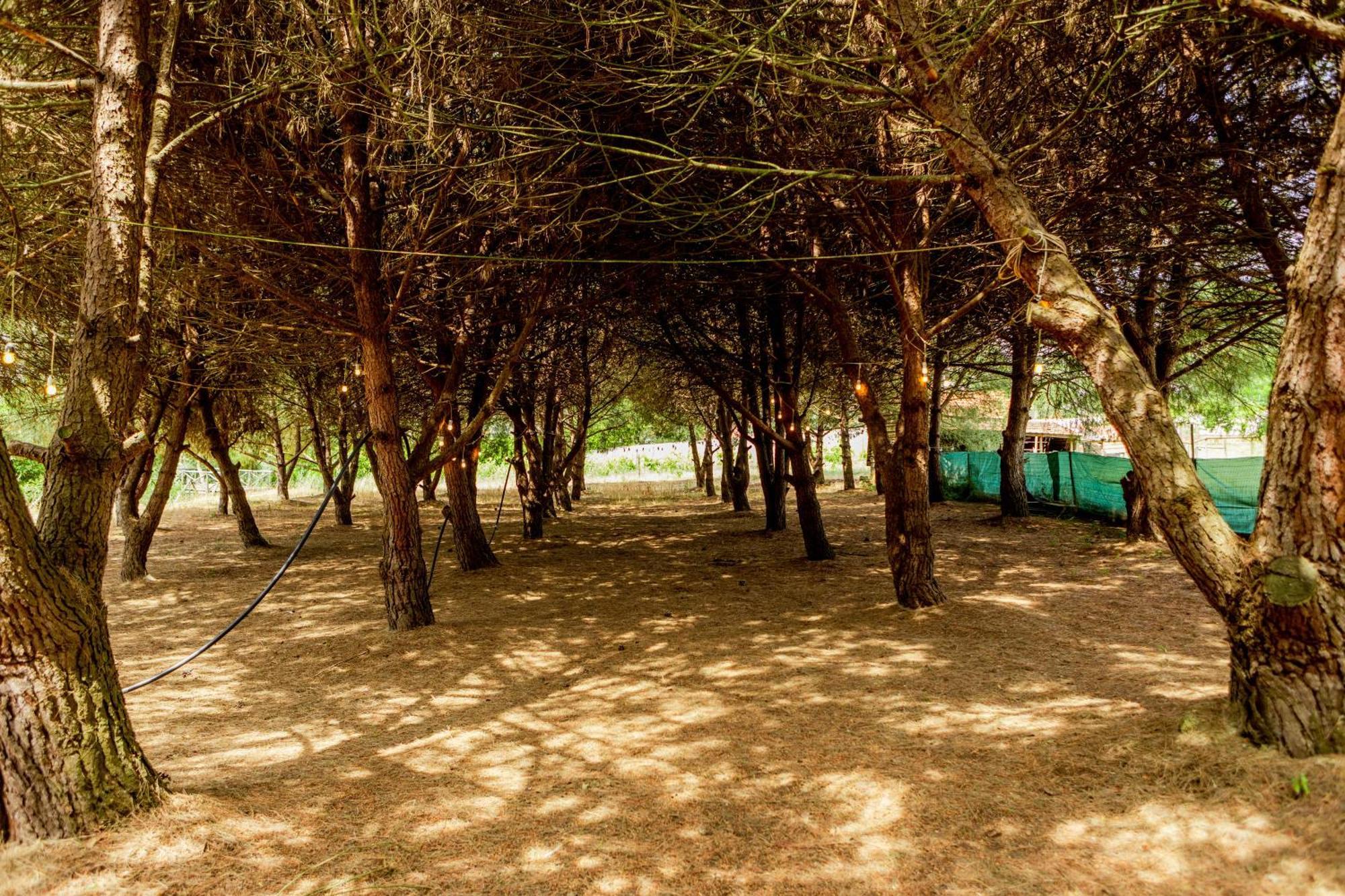 Quinta O Refugio Villa Azambuja Kültér fotó
