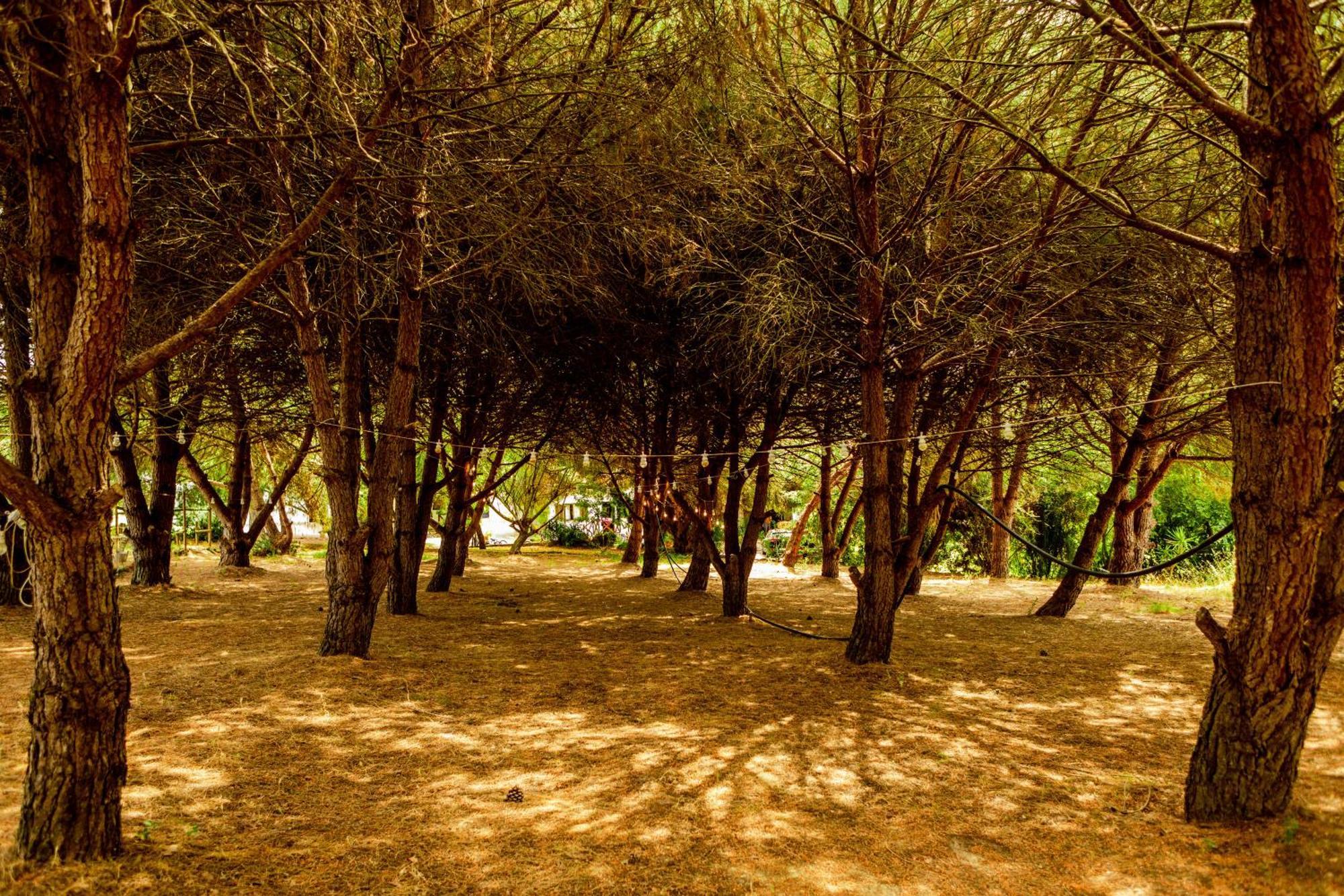 Quinta O Refugio Villa Azambuja Kültér fotó