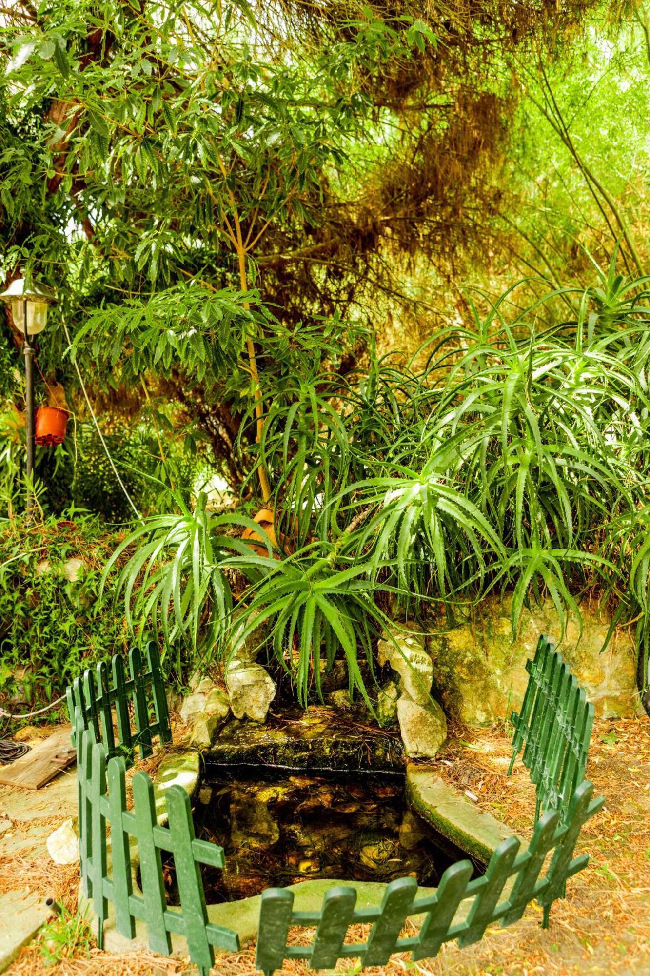 Quinta O Refugio Villa Azambuja Kültér fotó